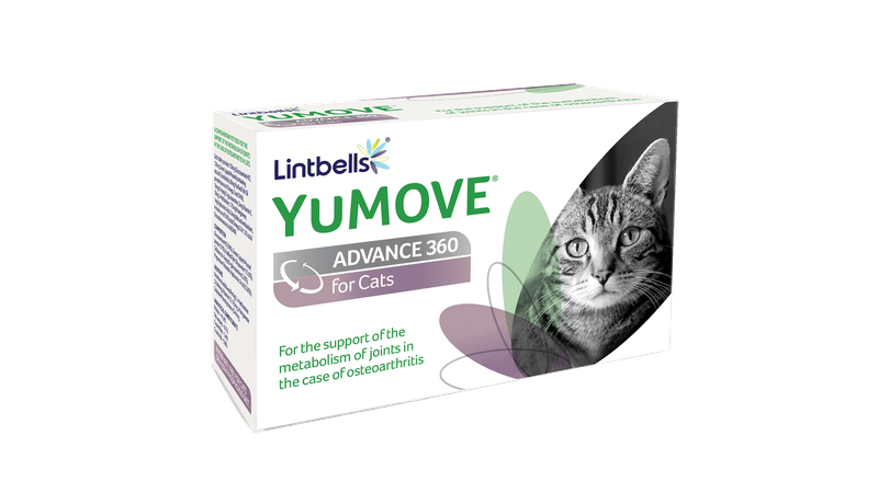 Yumove advance 360 for clearance cats