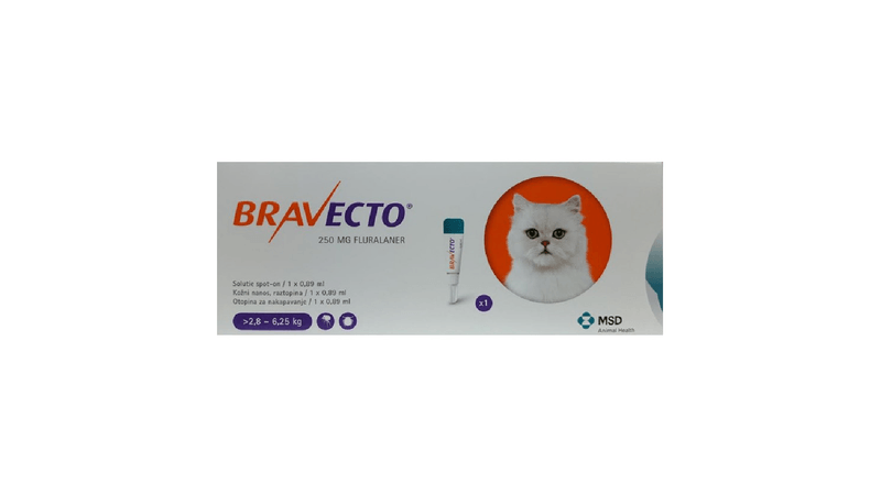 skade Månenytår Komprimere Bravecto 250 mg solutie spot-on pentru pisici de talie medie | Vetro